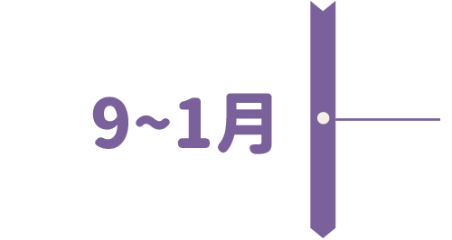 9~1月