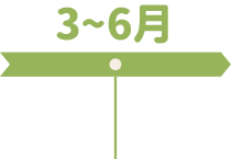 3~6月