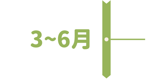 3~6月